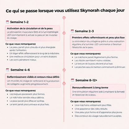 Skynorah Sculpteur Facial Led